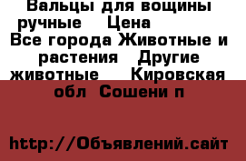 Вальцы для вощины ручные  › Цена ­ 10 000 - Все города Животные и растения » Другие животные   . Кировская обл.,Сошени п.
